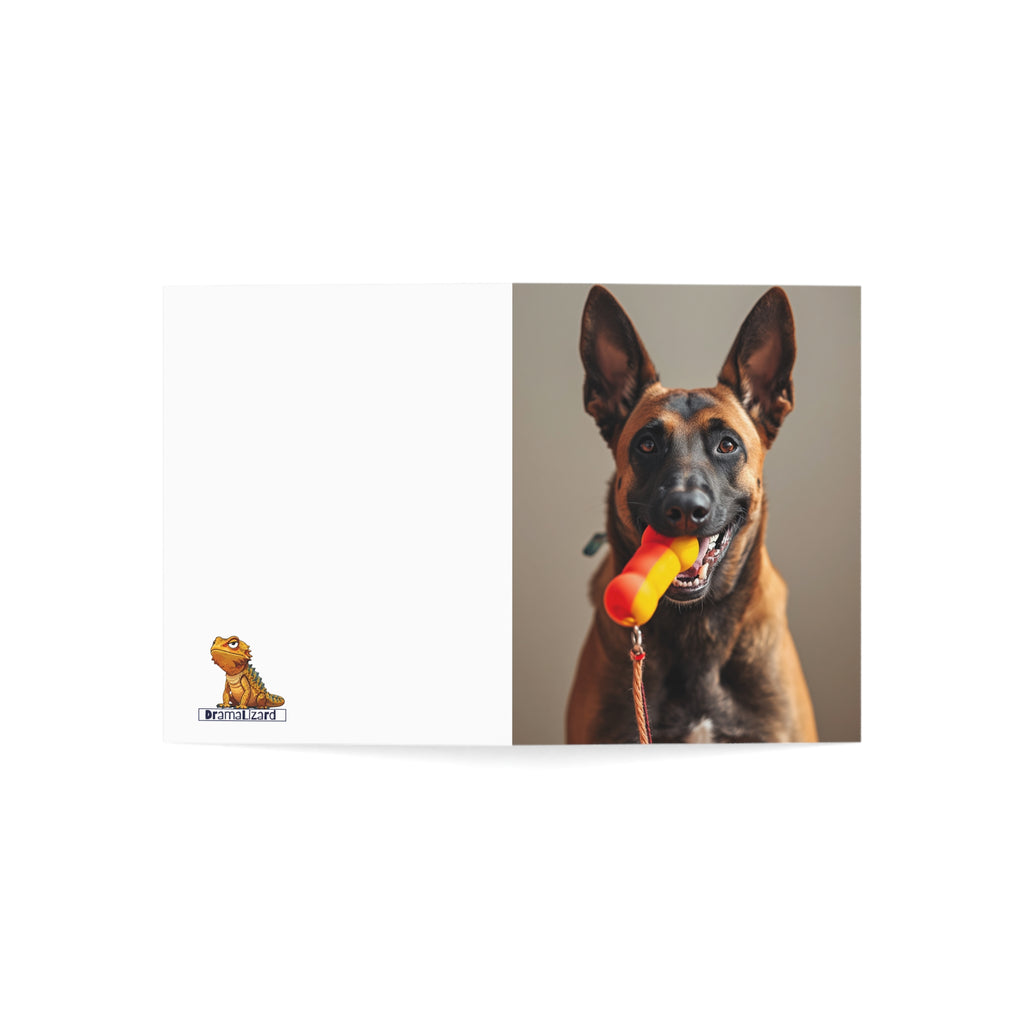 Dog Photo Greeting Cards — Playful Belgian Malinois Design (1/10/30/50 pack)
