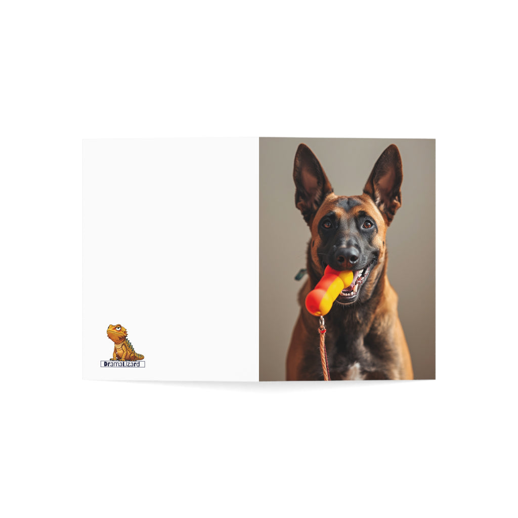 Dog Photo Greeting Cards — Playful Belgian Malinois Design (1/10/30/50 pack)
