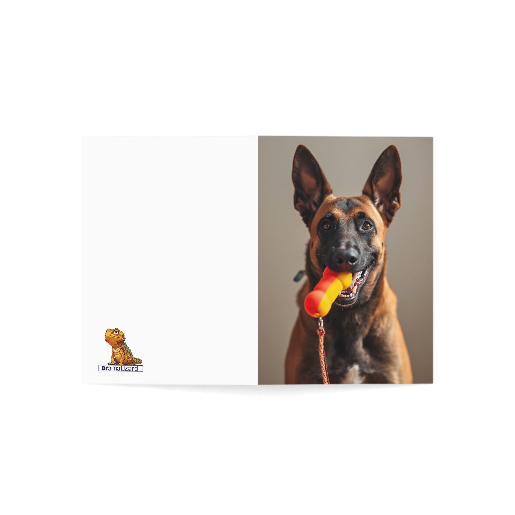 Dog Photo Greeting Cards — Playful Belgian Malinois Design (1/10/30/50 pack)