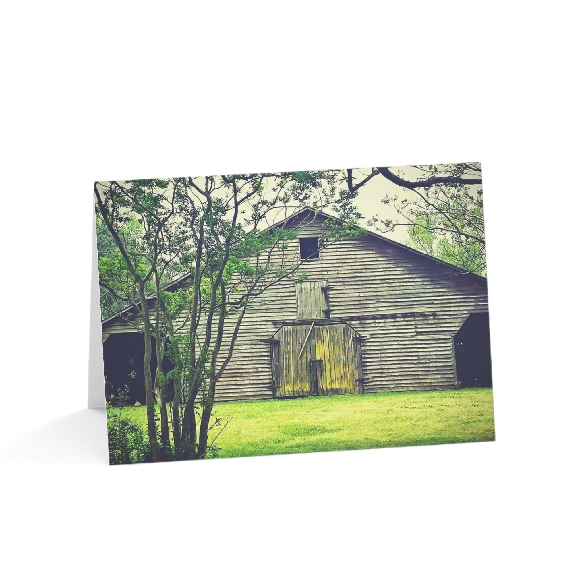 Greeting Cards (1, 10, 30, and 50pcs)