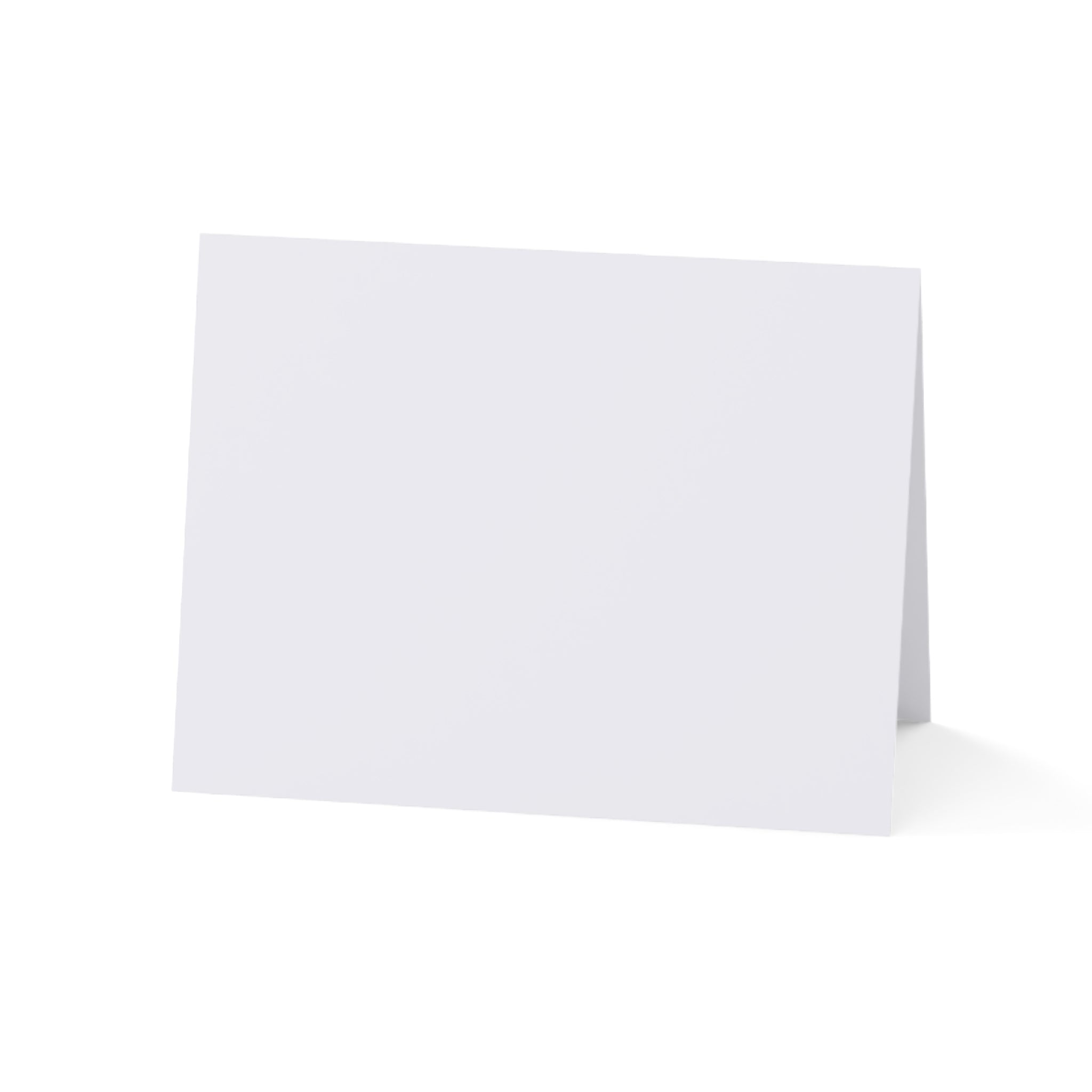 Tropical Flamingo Christmas Greeting Cards — Holiday Cards (1/10/30/50 pcs)