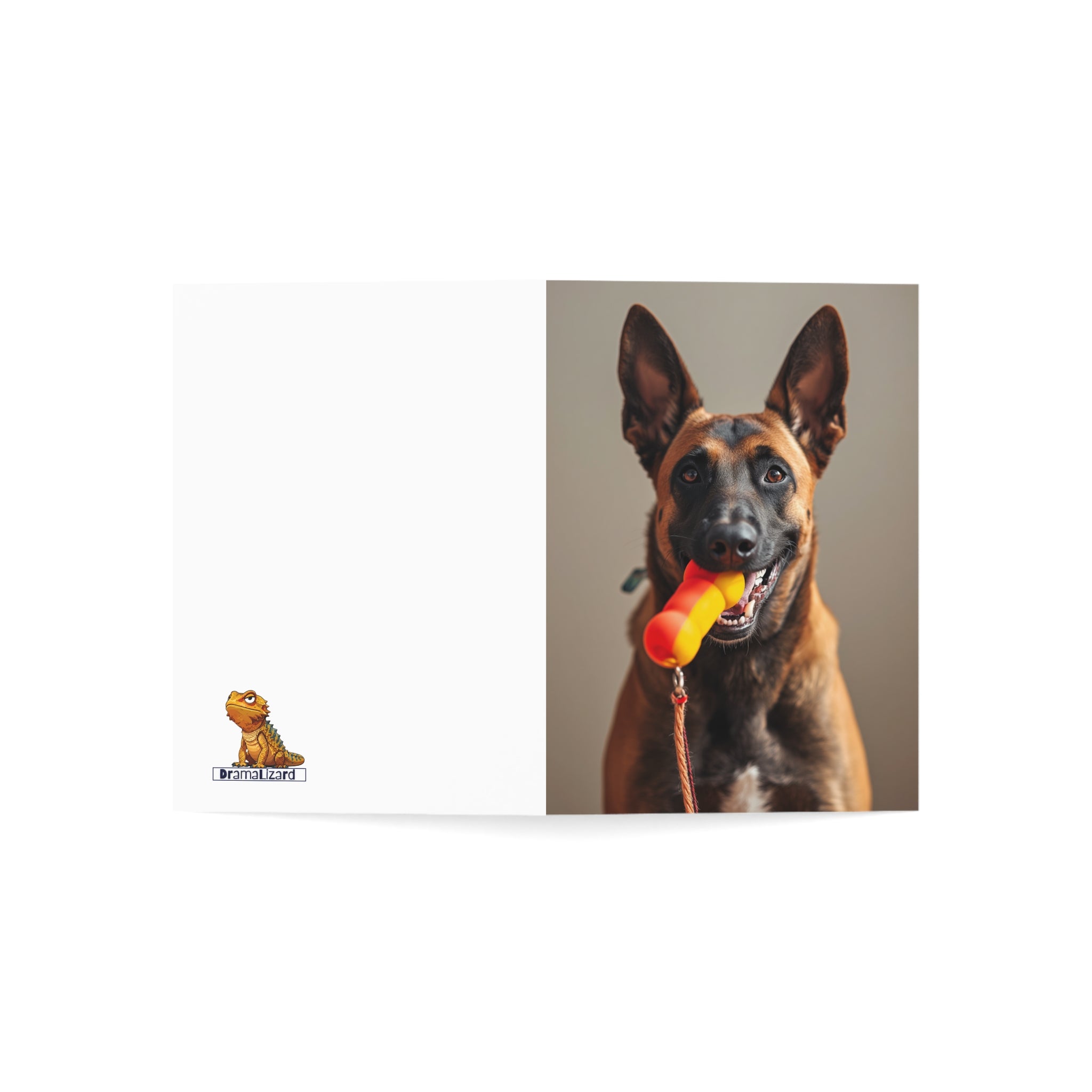 Dog Photo Greeting Cards — Playful Belgian Malinois Design (1/10/30/50 pack)